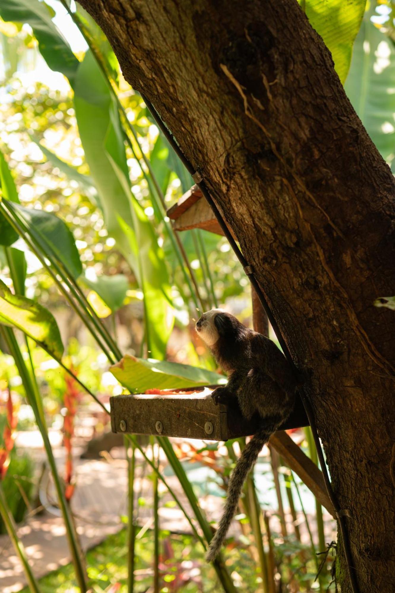 Pousada Nativa Caraíva Exteriér fotografie